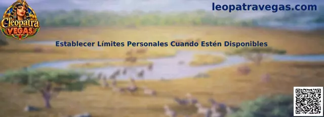 Panel de usuario para establecer límites personales de recarga y tiempo